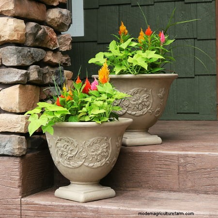 10 Best Walmart Large Flower Pots And Planters