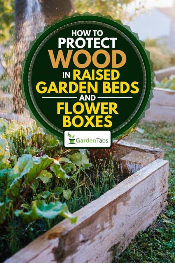How to Protect Wood in Raised Garden Beds and Flower Boxes