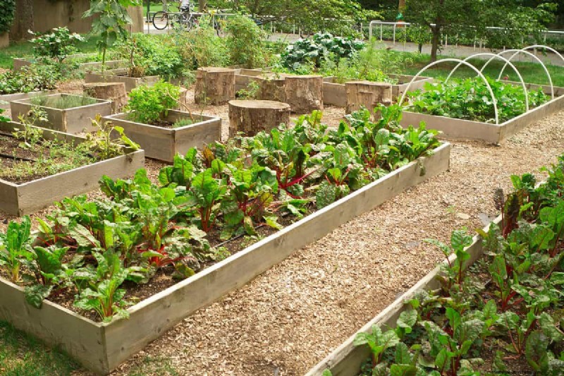 How to Protect Wood in Raised Garden Beds and Flower Boxes