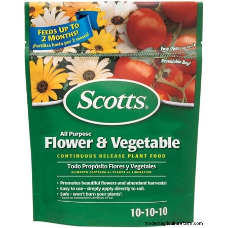 What Is The Best Fertilizer For Banana Trees?