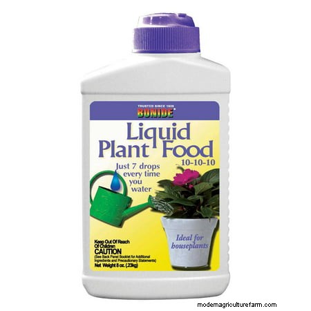 What Is The Best Fertilizer For Banana Trees?