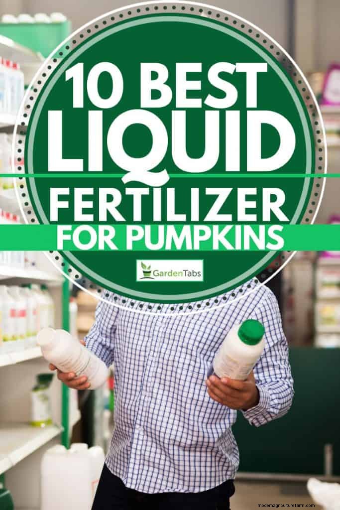 10 Best Liquid Fertilizers For Pumpkins