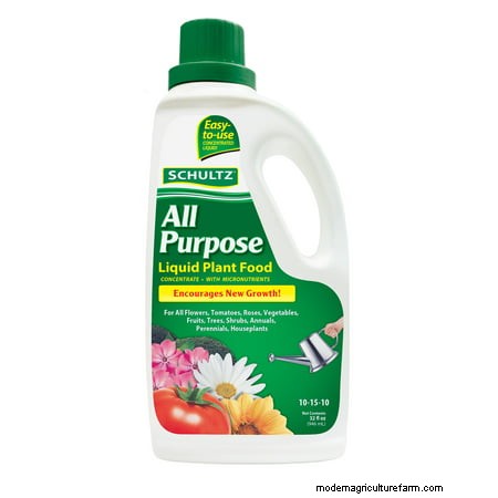 10 Best Liquid Fertilizers For Pumpkins