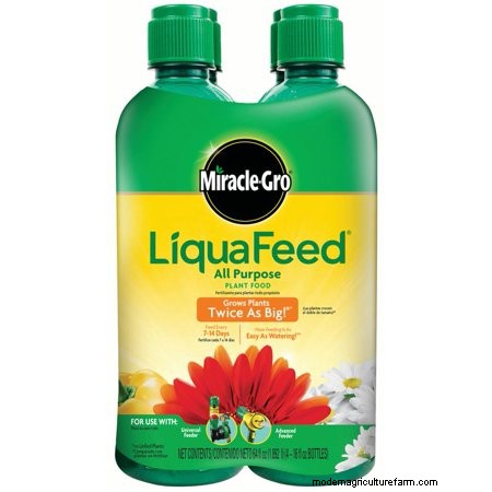 10 Best Liquid Fertilizers For Pumpkins