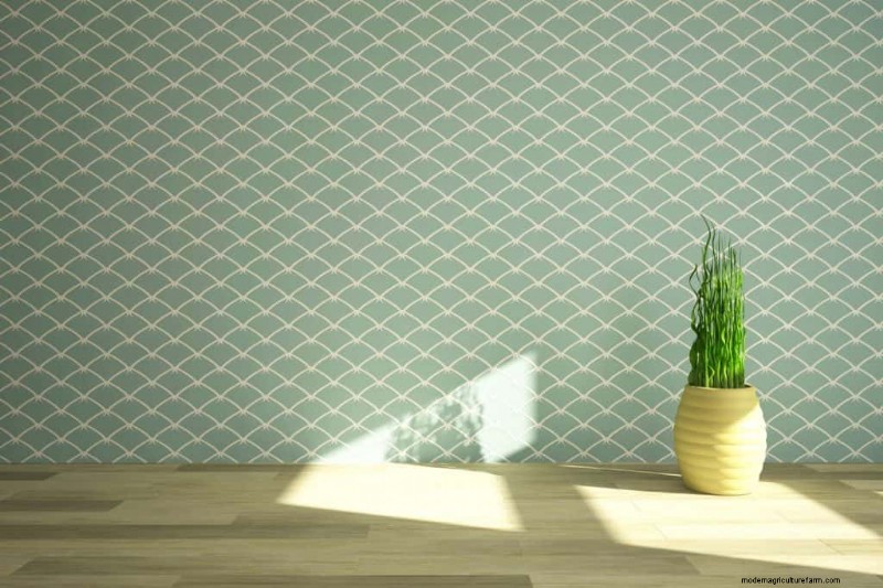 13 Best Fiddle Leaf Fig Grow Light Options