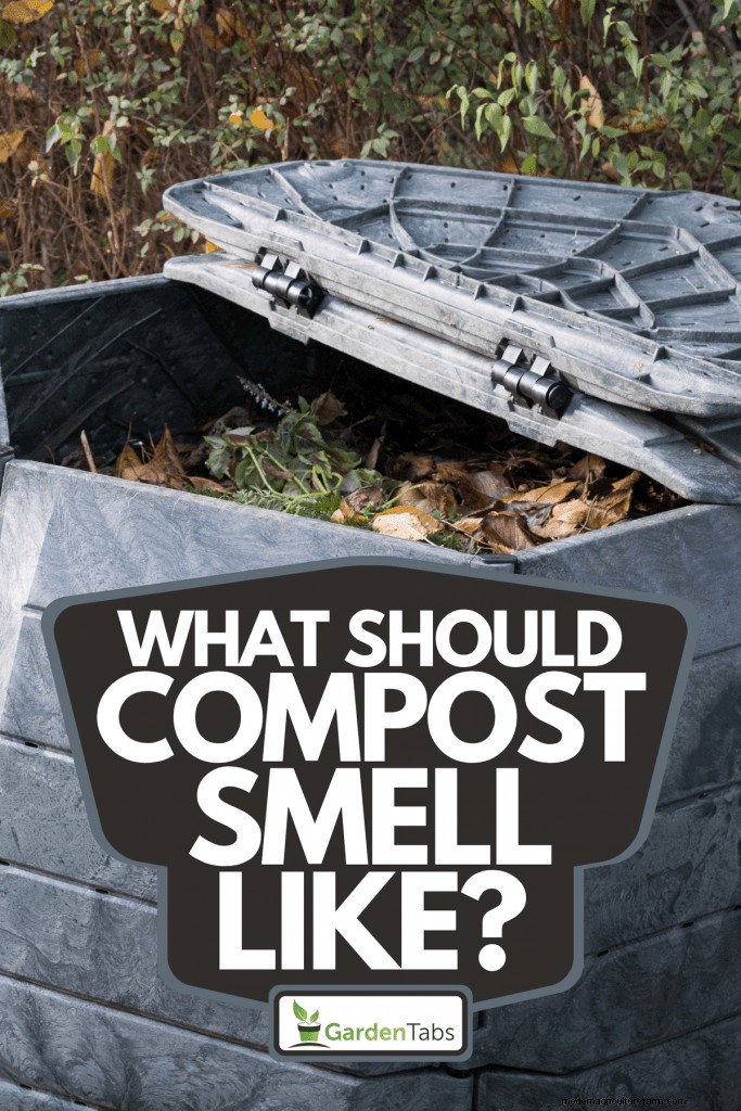 What Should Compost Smell Like?