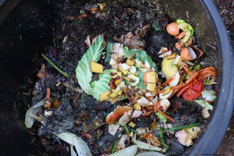 What Should Compost Smell Like?