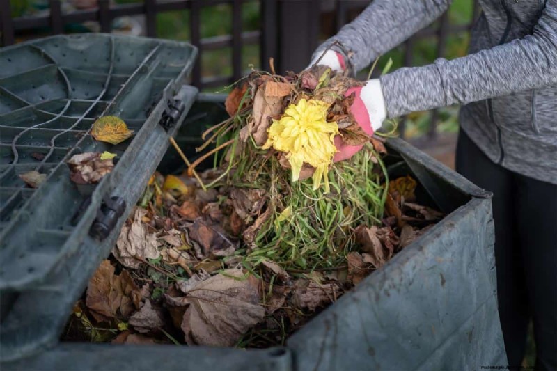 What Should Compost Smell Like?