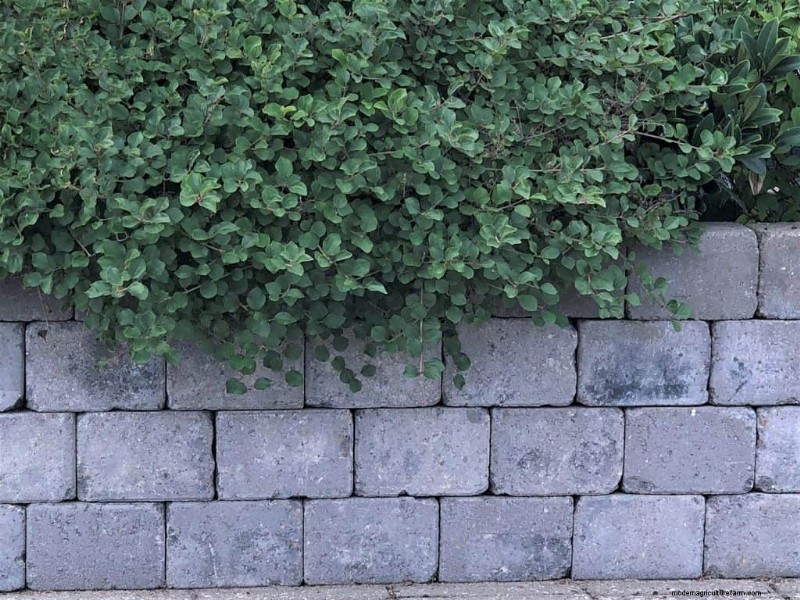 Should A Retaining Wall Be Level?