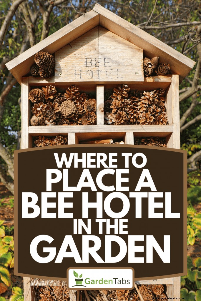 Where To Place A Bee Hotel In The Garden