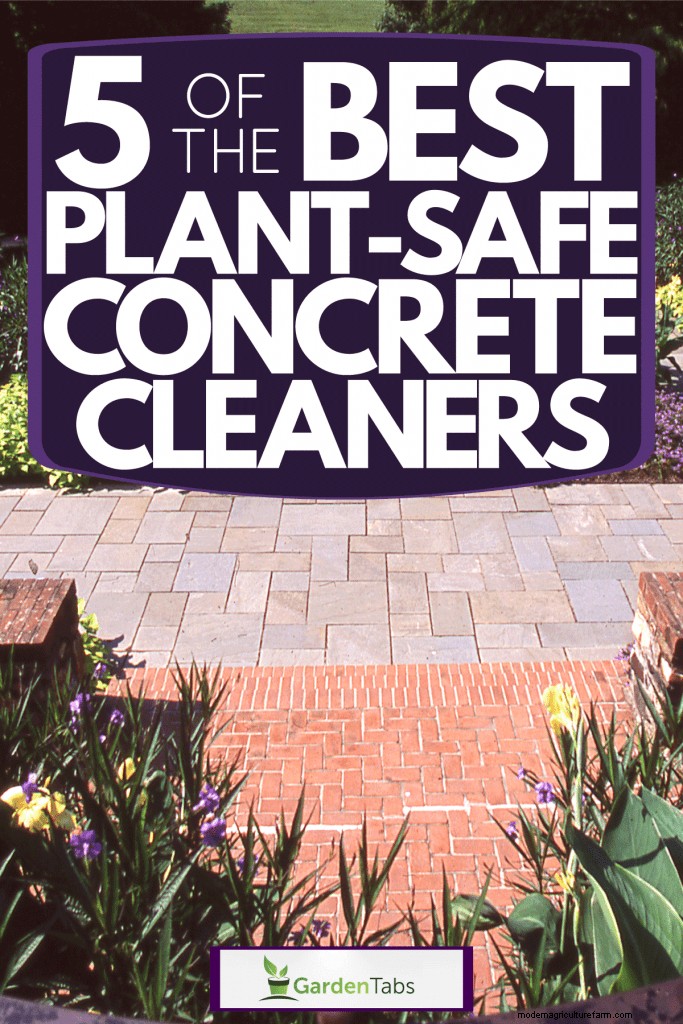 5 Of The Best Plant-Safe Concrete Cleaners