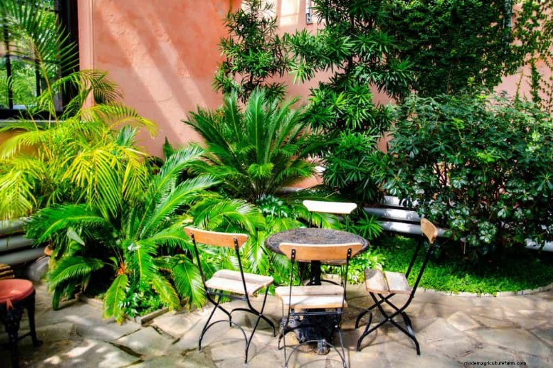 5 Of The Best Plant-Safe Concrete Cleaners