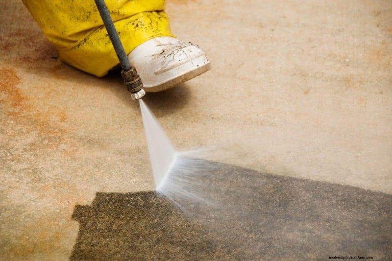 5 Of The Best Plant-Safe Concrete Cleaners