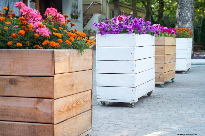 What’s The Best Pot For A Spider Plant?