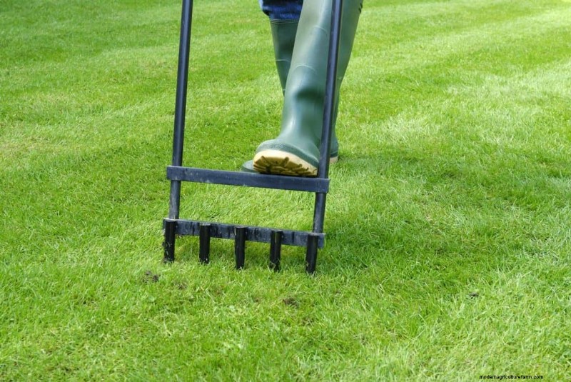 Can You Aerate Your Lawn In The Spring? Should You?
