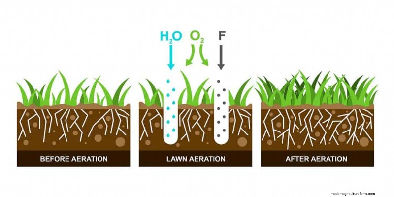 Can You Aerate Your Lawn In The Spring? Should You?