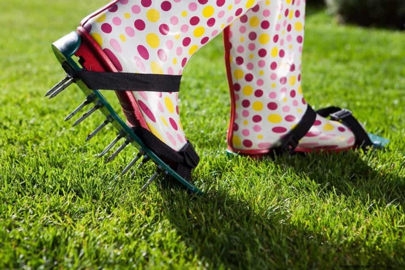 Can You Aerate Your Lawn In The Spring? Should You?