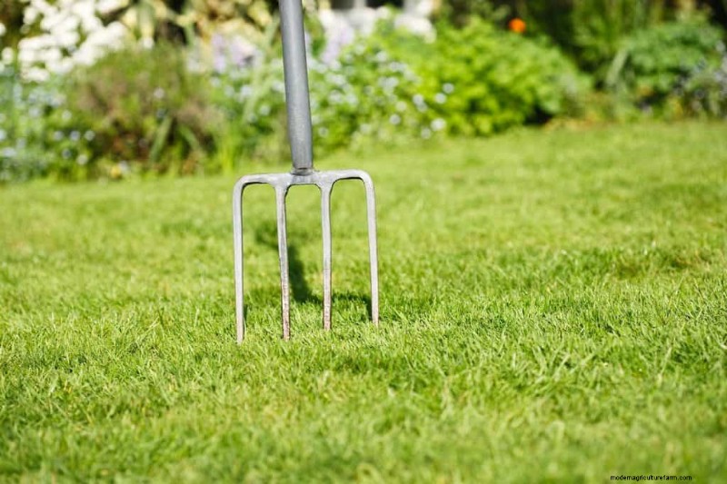 Can You Aerate Your Lawn In The Spring? Should You?