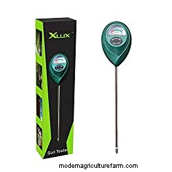 My Ikea Bonsai Tree Is Dying – What To Do?