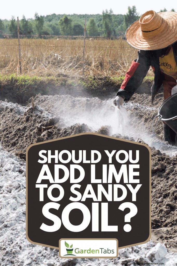Should You Add Lime To Sandy Soil?