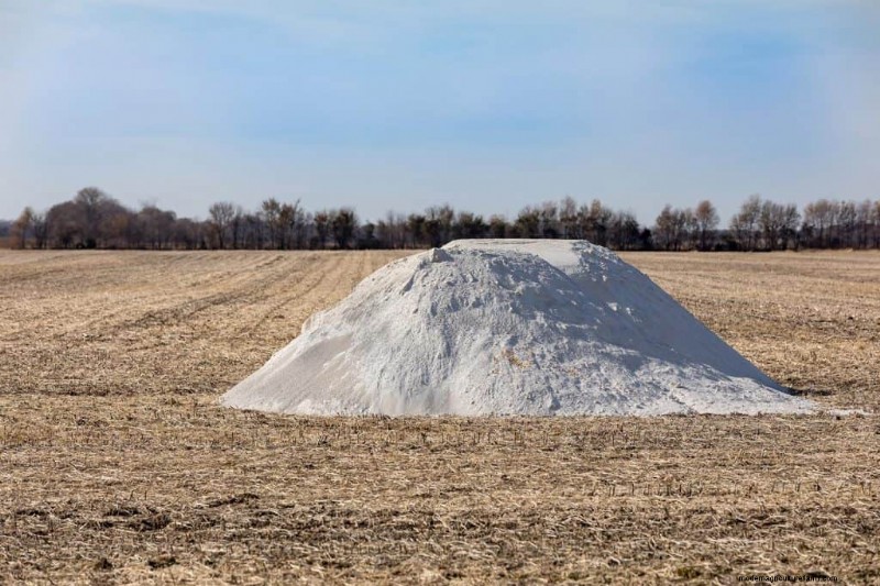 Should You Add Lime To Sandy Soil?