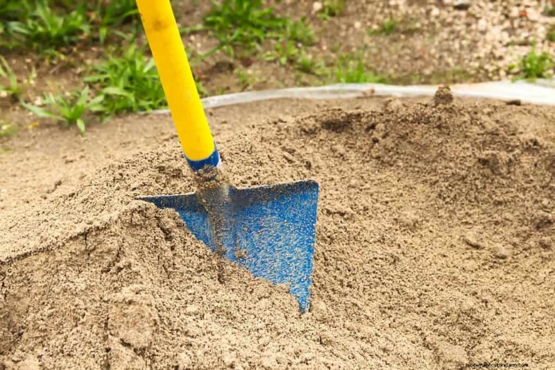 Should You Add Lime To Sandy Soil?