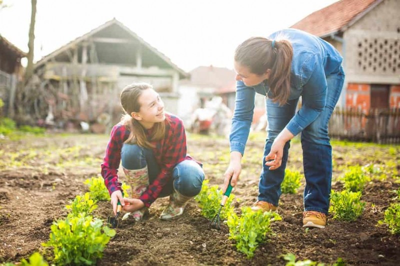 Should You Add Lime To Sandy Soil?