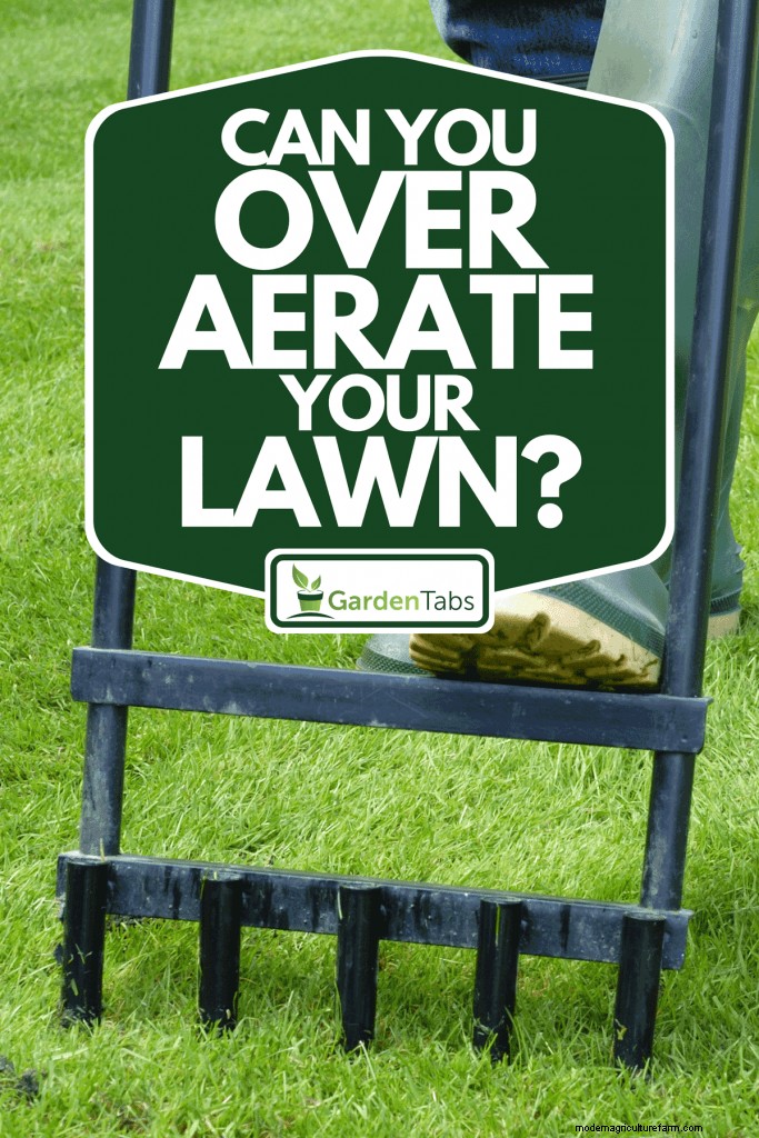 Can You Over Aerate Your Lawn?