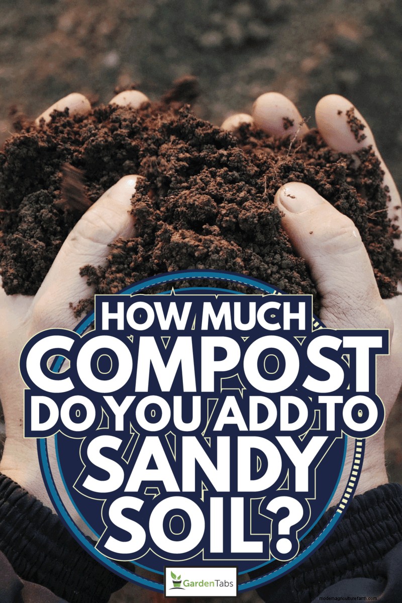 How Much Compost Do You Add To Sandy Soil?