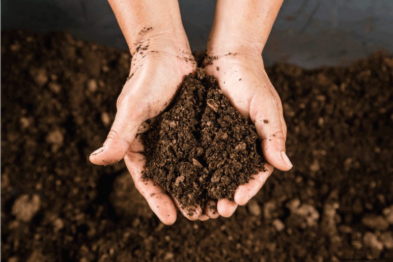 How Much Compost Do You Add To Sandy Soil?