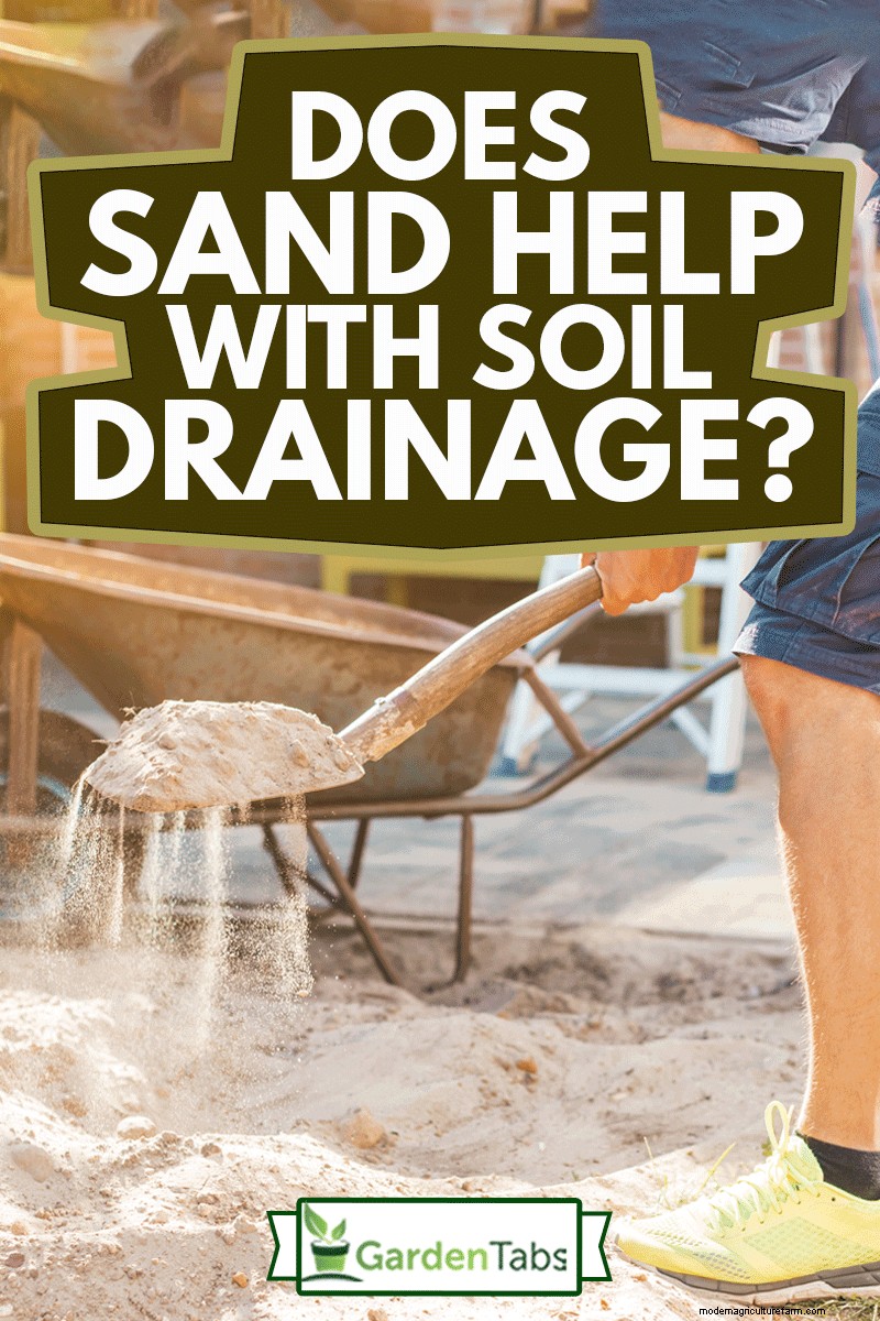 Does Sand Help With Soil Drainage?