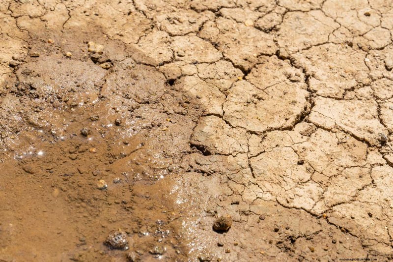 Does Sand Help With Soil Drainage?