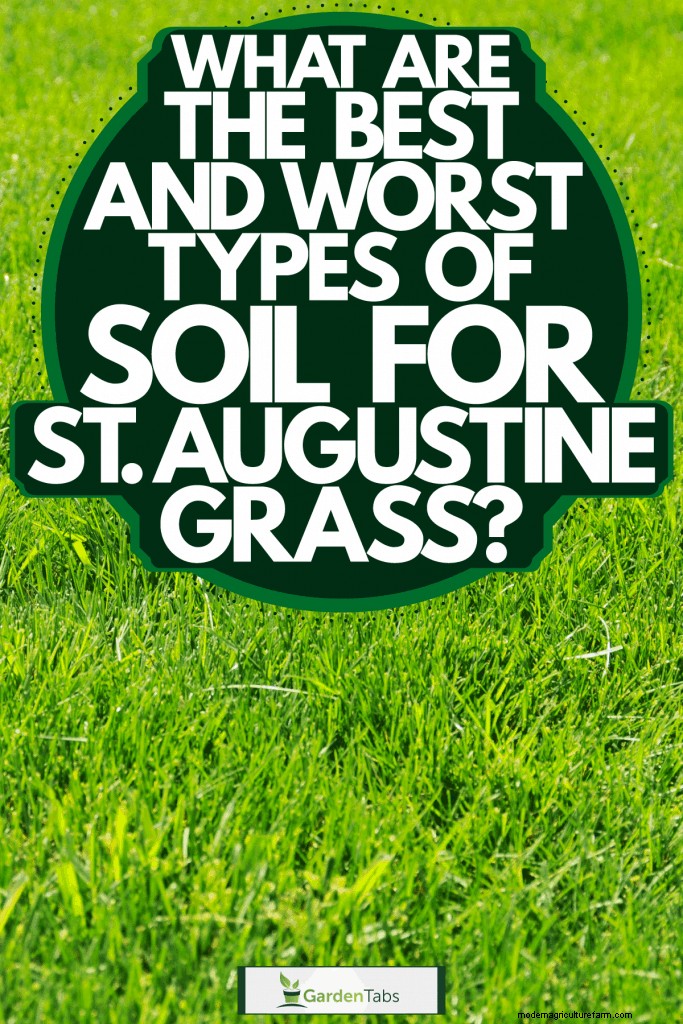 What Are The Best And Worst Types Of Soil For St Augustine Grass?