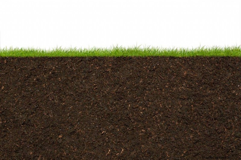 What Are The Best And Worst Types Of Soil For St Augustine Grass?