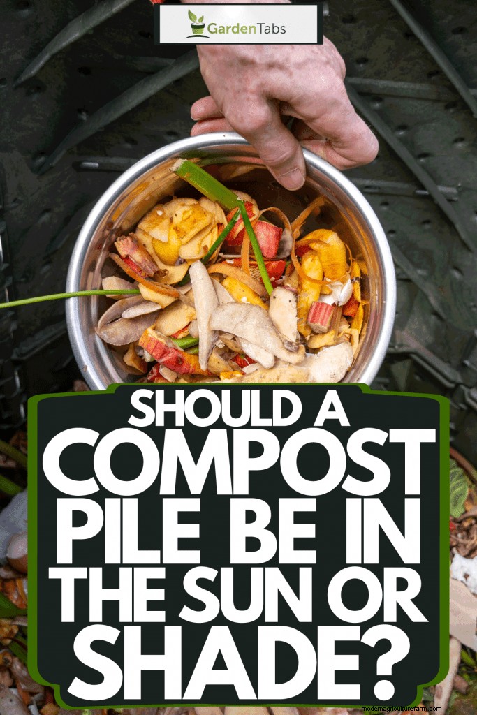 Should A Compost Pile Be In The Sun Or Shade?