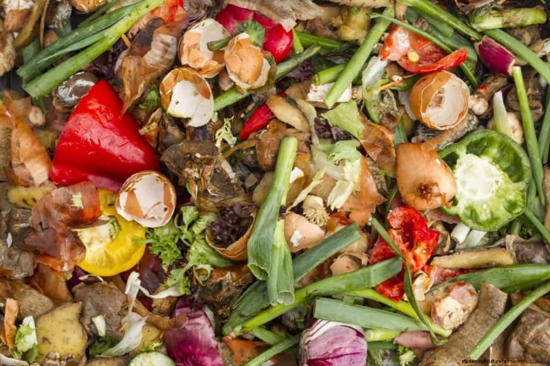 Should A Compost Pile Be In The Sun Or Shade?