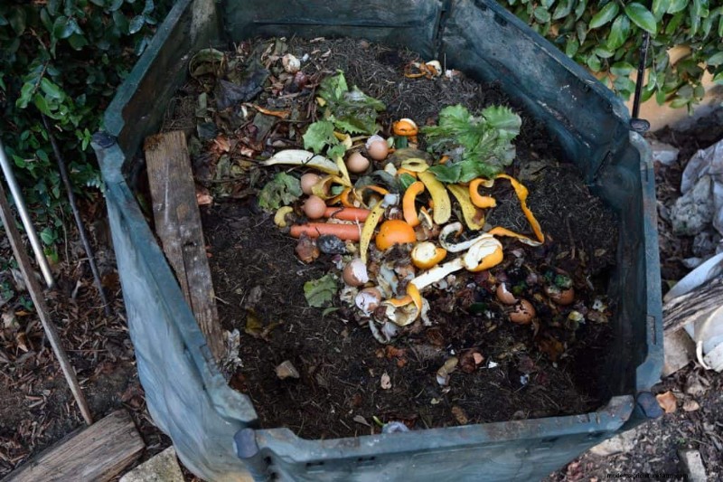 Should A Compost Pile Be In The Sun Or Shade?