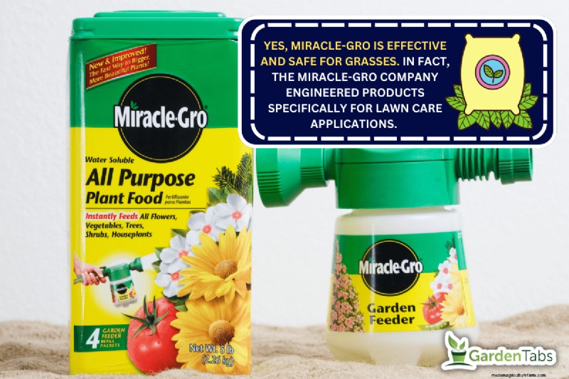 Can You Use Miracle-Gro On Grass?