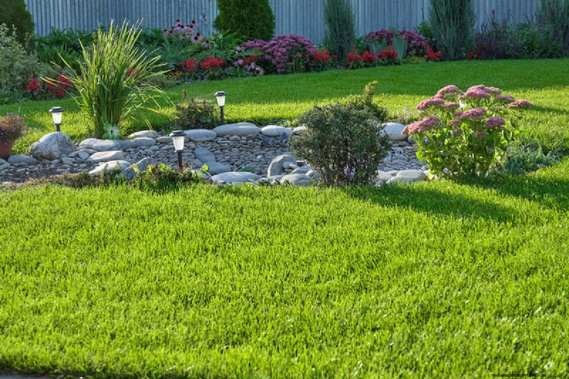 Can You Use Miracle-Gro On Grass?