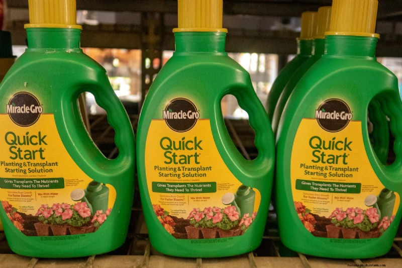 Can You Use Miracle-Gro On Grass?