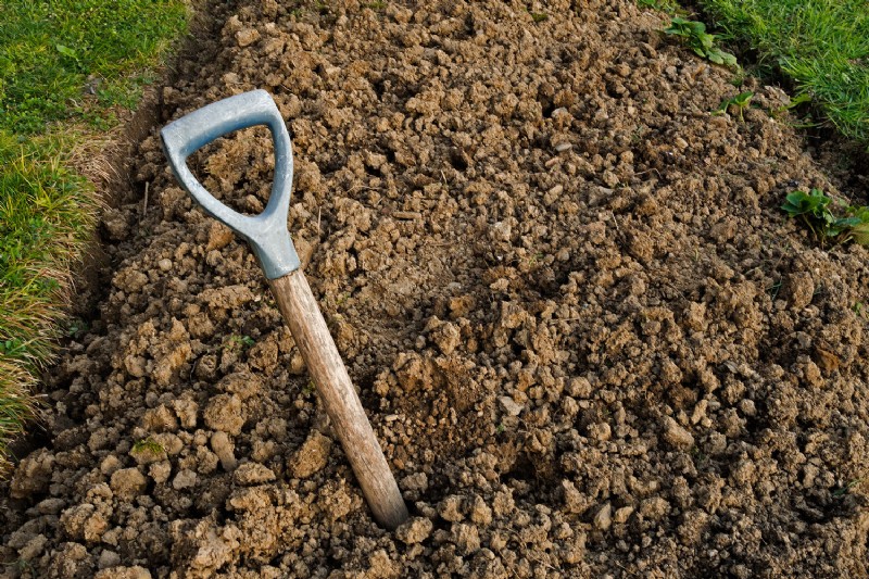 How Much Sand To Add To Clay Soil?