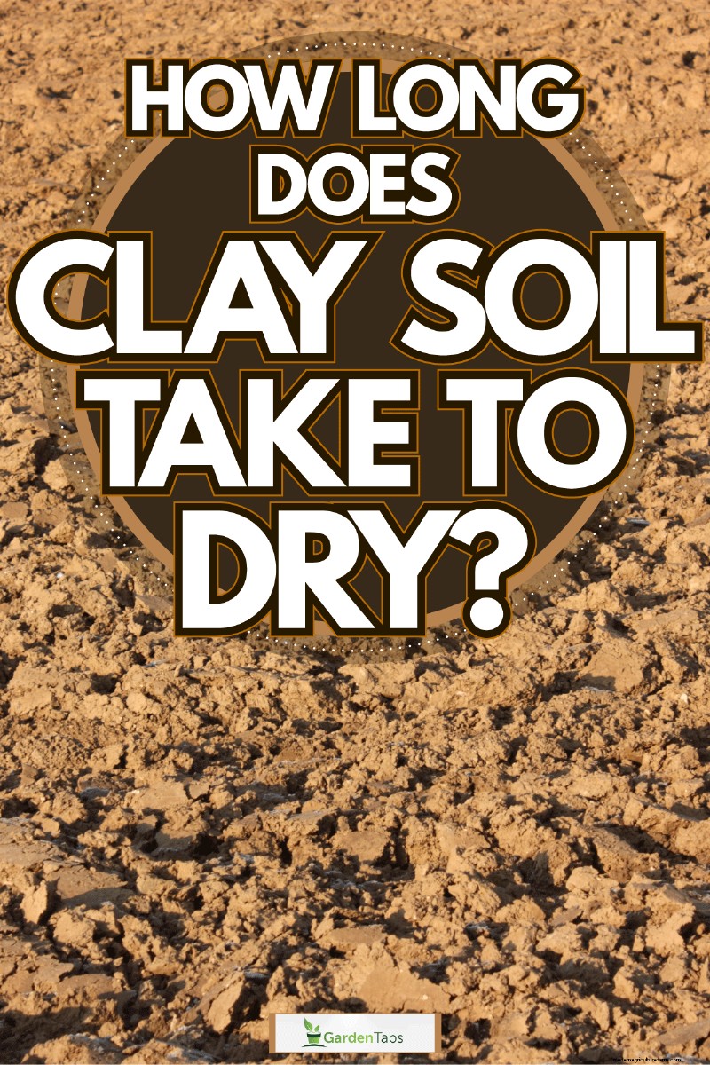 How Long Does Clay Soil Take To Dry?