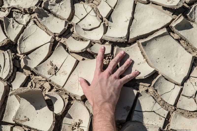 How Long Does Clay Soil Take To Dry?