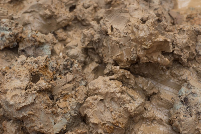 How Long Does Clay Soil Take To Dry?