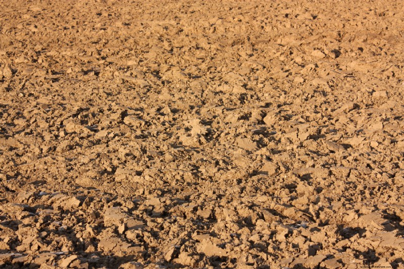 How Long Does Clay Soil Take To Dry?