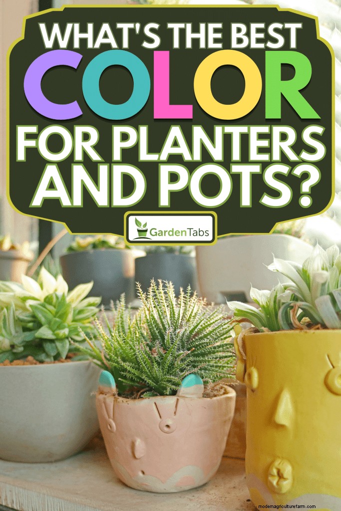 What’s The Best Color For Planters And Pots?
