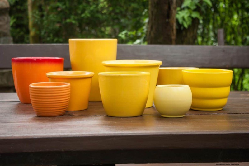 What’s The Best Color For Planters And Pots?