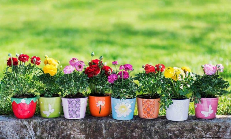 What’s The Best Color For Planters And Pots?