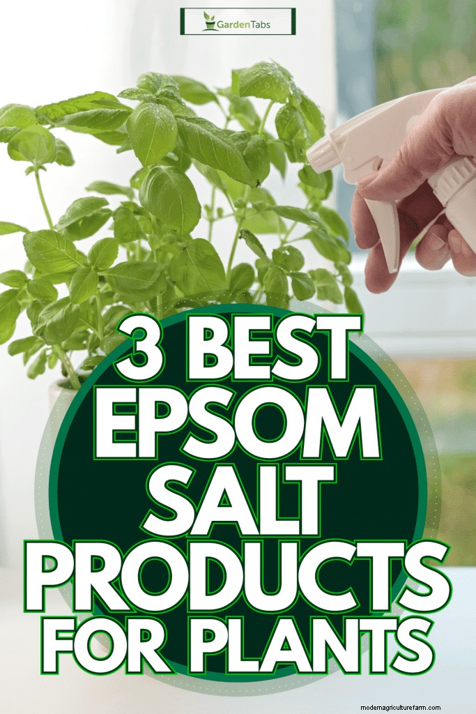 3 Best Epsom Salt Products For Plants