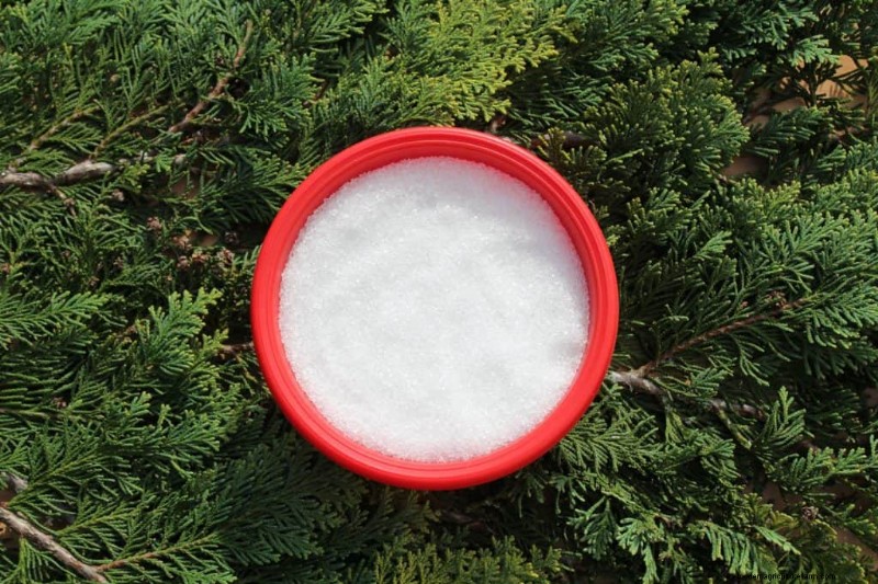 3 Best Epsom Salt Products For Plants